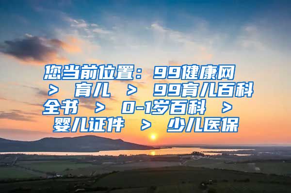 您当前位置：99健康网 ＞ 育儿 ＞ 99育儿百科全书 ＞ 0-1岁百科 ＞ 婴儿证件 ＞ 少儿医保
