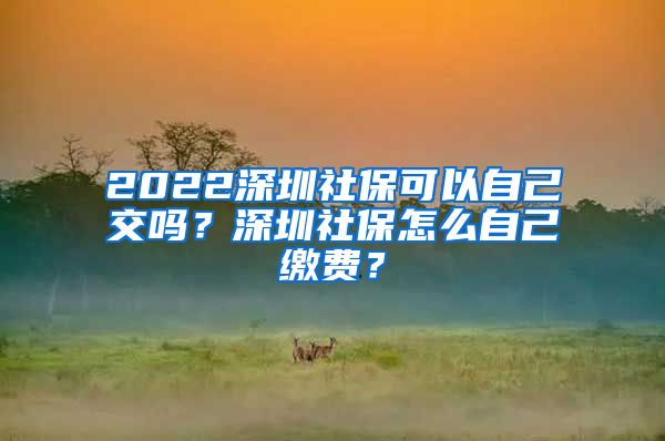 2022深圳社保可以自己交吗？深圳社保怎么自己缴费？