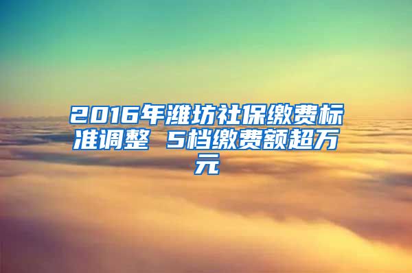 2016年潍坊社保缴费标准调整 5档缴费额超万元