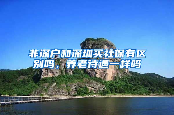 非深户和深圳买社保有区别吗，养老待遇一样吗