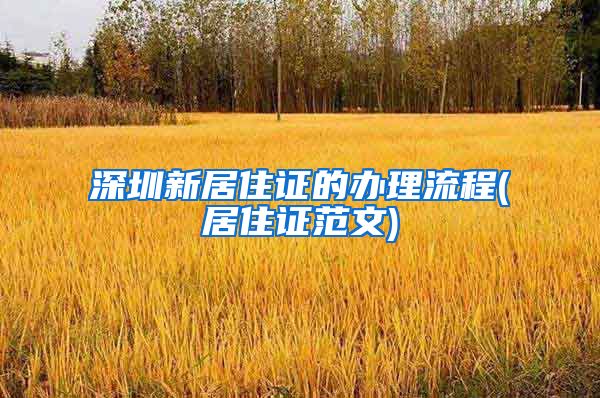 深圳新居住证的办理流程(居住证范文)