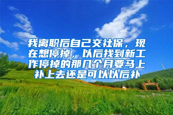 我离职后自己交社保，现在想停掉，以后找到新工作停掉的那几个月要马上补上去还是可以以后补