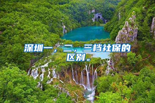 深圳一，二，三档社保的区别。