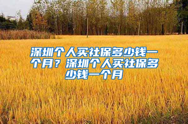 深圳个人买社保多少钱一个月？深圳个人买社保多少钱一个月