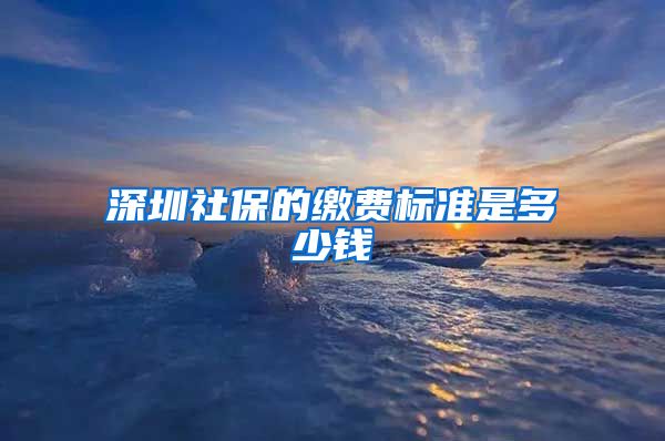 深圳社保的缴费标准是多少钱