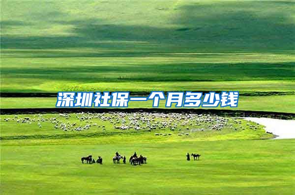 深圳社保一个月多少钱