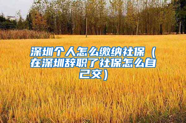 深圳个人怎么缴纳社保（在深圳辞职了社保怎么自己交）