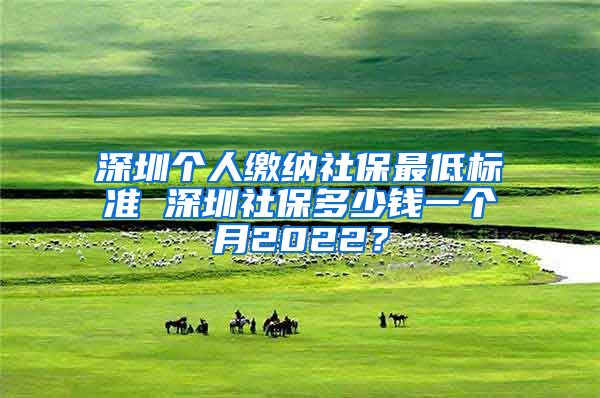 深圳个人缴纳社保最低标准 深圳社保多少钱一个月2022？
