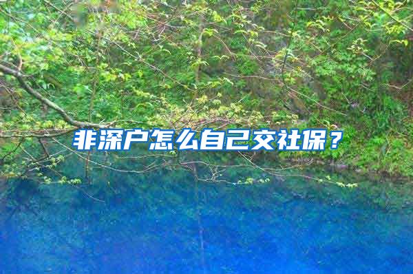 非深户怎么自己交社保？