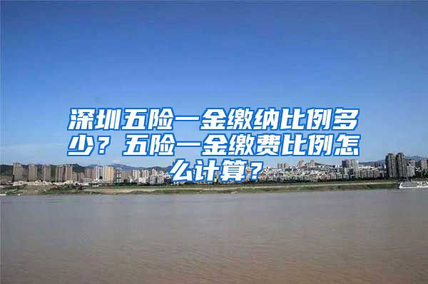 深圳五险一金缴纳比例多少？五险一金缴费比例怎么计算？