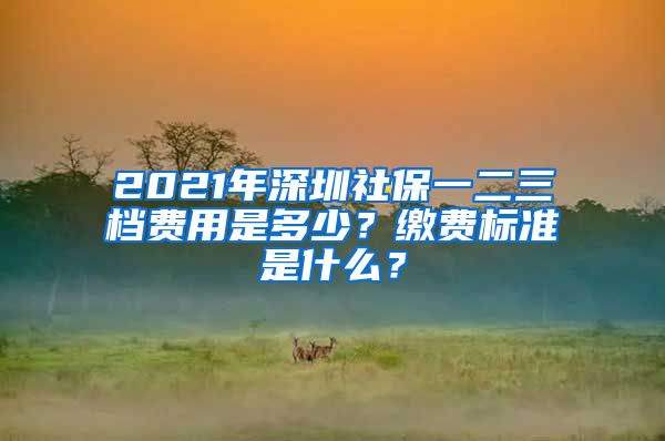 2021年深圳社保一二三档费用是多少？缴费标准是什么？
