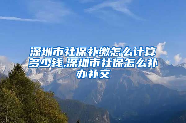 深圳市社保补缴怎么计算多少钱,深圳市社保怎么补办补交