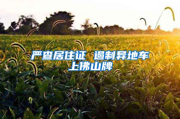 严查居住证 遏制异地车上佛山牌