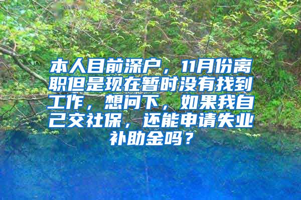 本人目前深户，11月份离职但是现在暂时没有找到工作，想问下，如果我自己交社保，还能申请失业补助金吗？