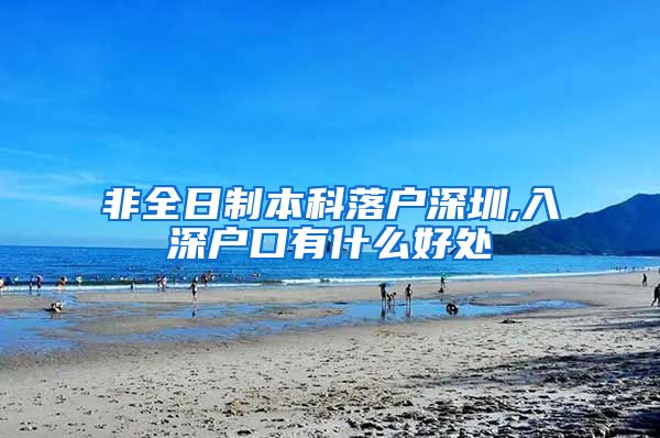 非全日制本科落户深圳,入深户口有什么好处