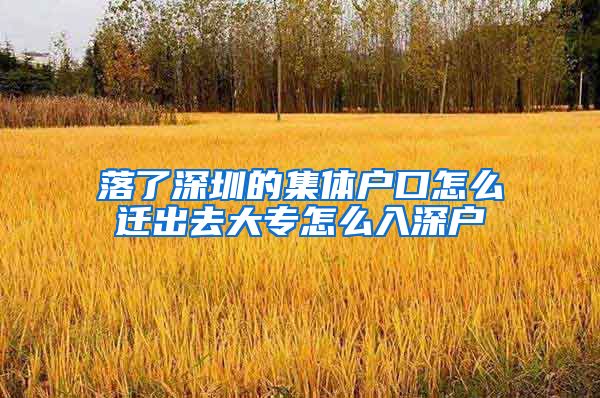 落了深圳的集体户口怎么迁出去大专怎么入深户