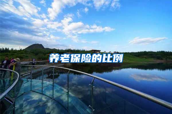 养老保险的比例
