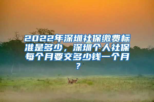 2022年深圳社保缴费标准是多少，深圳个人社保每个月要交多少钱一个月？