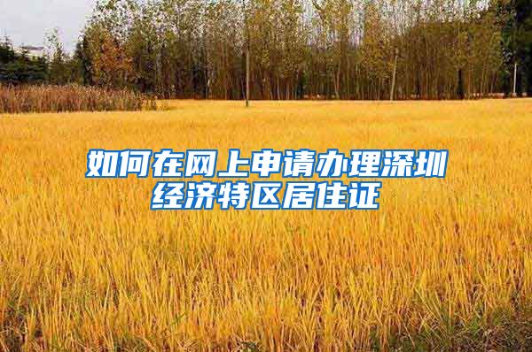 如何在网上申请办理深圳经济特区居住证