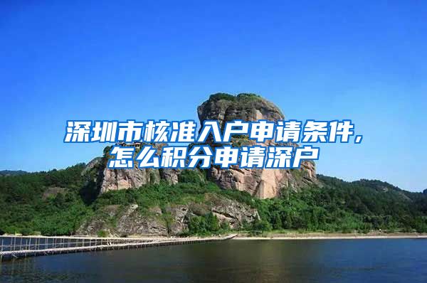 深圳市核准入户申请条件,怎么积分申请深户