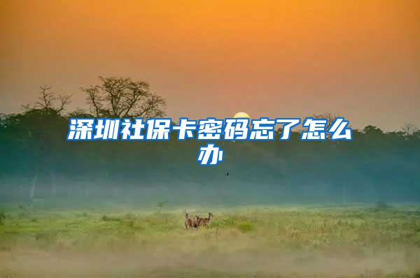 深圳社保卡密码忘了怎么办