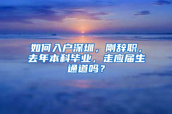 如何入户深圳，刚辞职，去年本科毕业，走应届生通道吗？