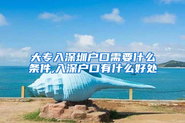 大专入深圳户口需要什么条件,入深户口有什么好处