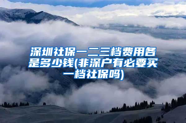 深圳社保一二三档费用各是多少钱(非深户有必要买一档社保吗)