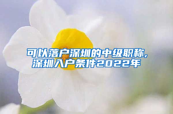 可以落户深圳的中级职称,深圳入户条件2022年