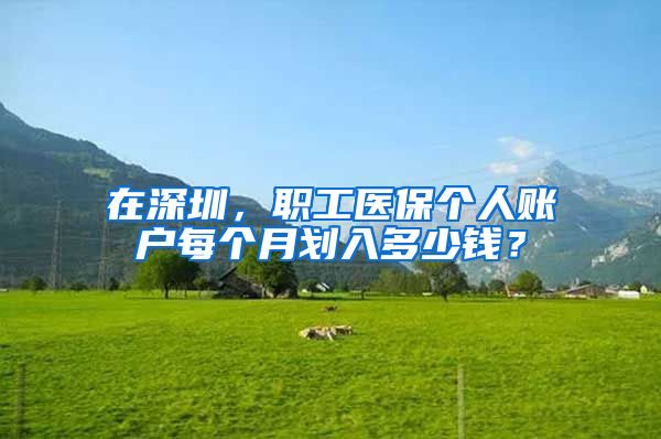 在深圳，职工医保个人账户每个月划入多少钱？