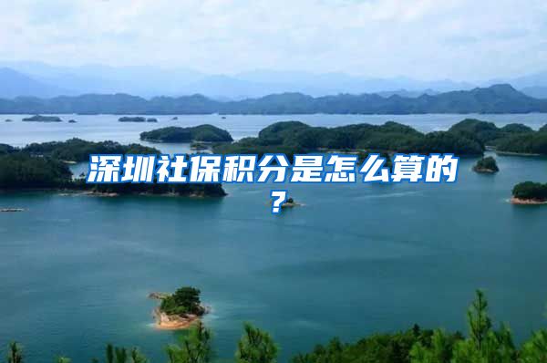 深圳社保积分是怎么算的？