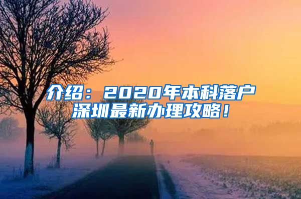介绍：2020年本科落户深圳最新办理攻略！
