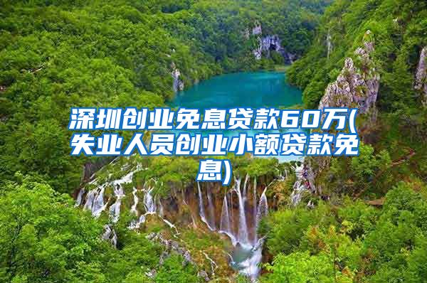 深圳创业免息贷款60万(失业人员创业小额贷款免息)