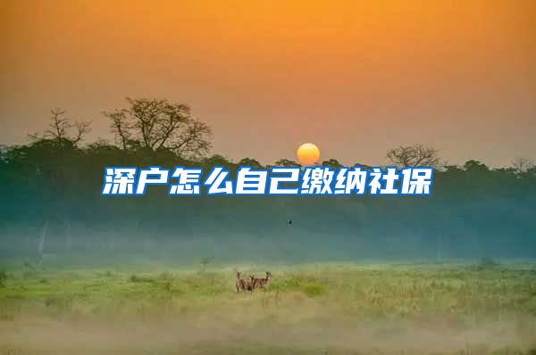 深户怎么自己缴纳社保