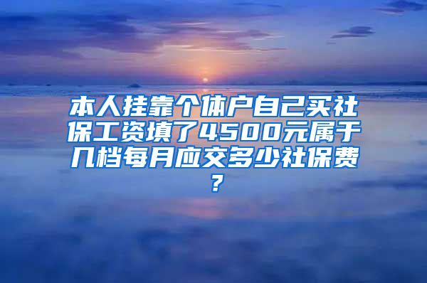 本人挂靠个体户自己买社保工资填了4500元属于几档每月应交多少社保费？