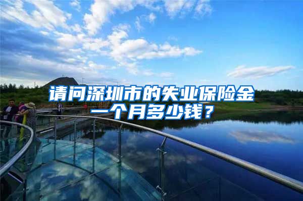请问深圳市的失业保险金一个月多少钱？