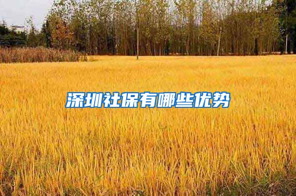 深圳社保有哪些优势