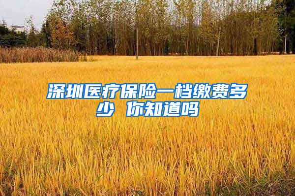 深圳医疗保险一档缴费多少 你知道吗