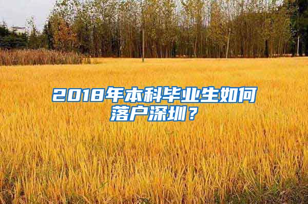2018年本科毕业生如何落户深圳？