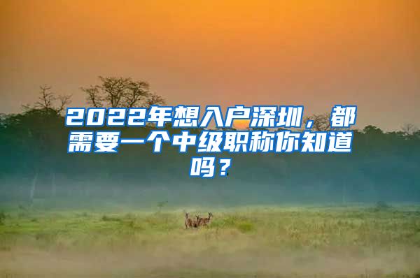 2022年想入户深圳，都需要一个中级职称你知道吗？