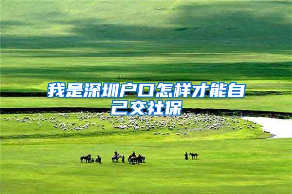我是深圳户口怎样才能自己交社保