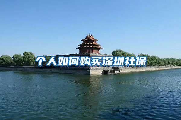 个人如何购买深圳社保