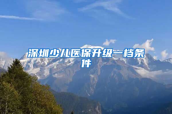 深圳少儿医保升级一档条件