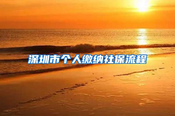 深圳市个人缴纳社保流程