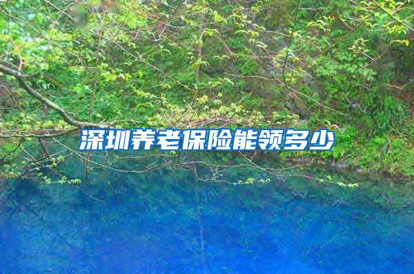 深圳养老保险能领多少