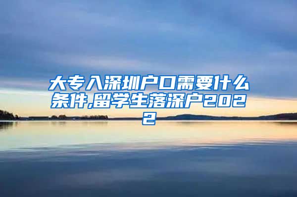 大专入深圳户口需要什么条件,留学生落深户2022