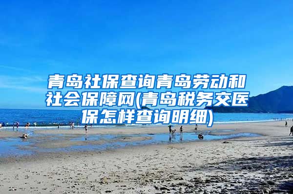 青岛社保查询青岛劳动和社会保障网(青岛税务交医保怎样查询明细)