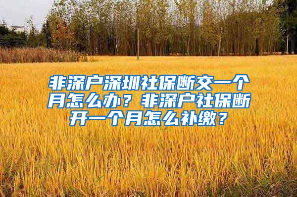 非深户深圳社保断交一个月怎么办？非深户社保断开一个月怎么补缴？