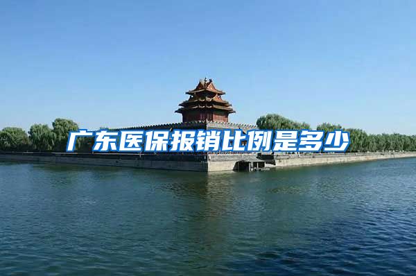 广东医保报销比例是多少
