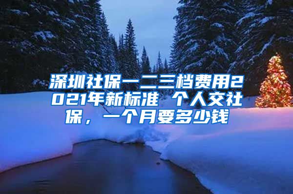 深圳社保一二三档费用2021年新标准 个人交社保，一个月要多少钱